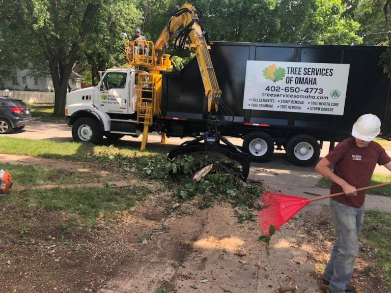 Gallery Tree Services of Omaha Tree Removal & Trimming in Omaha