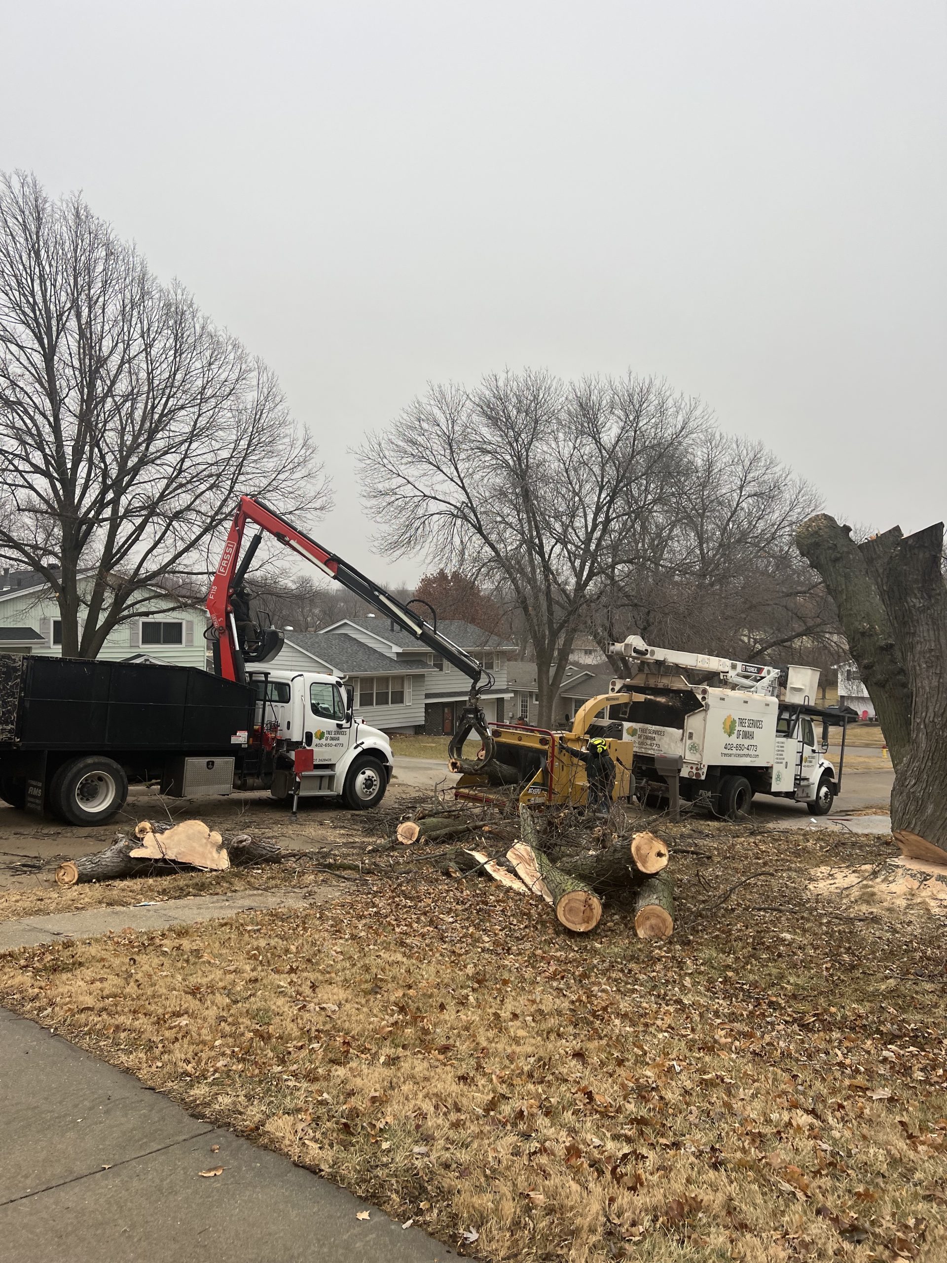 Tree Service Omaha Nebraska