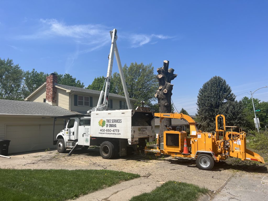 Tree Removal Service Omaha NE