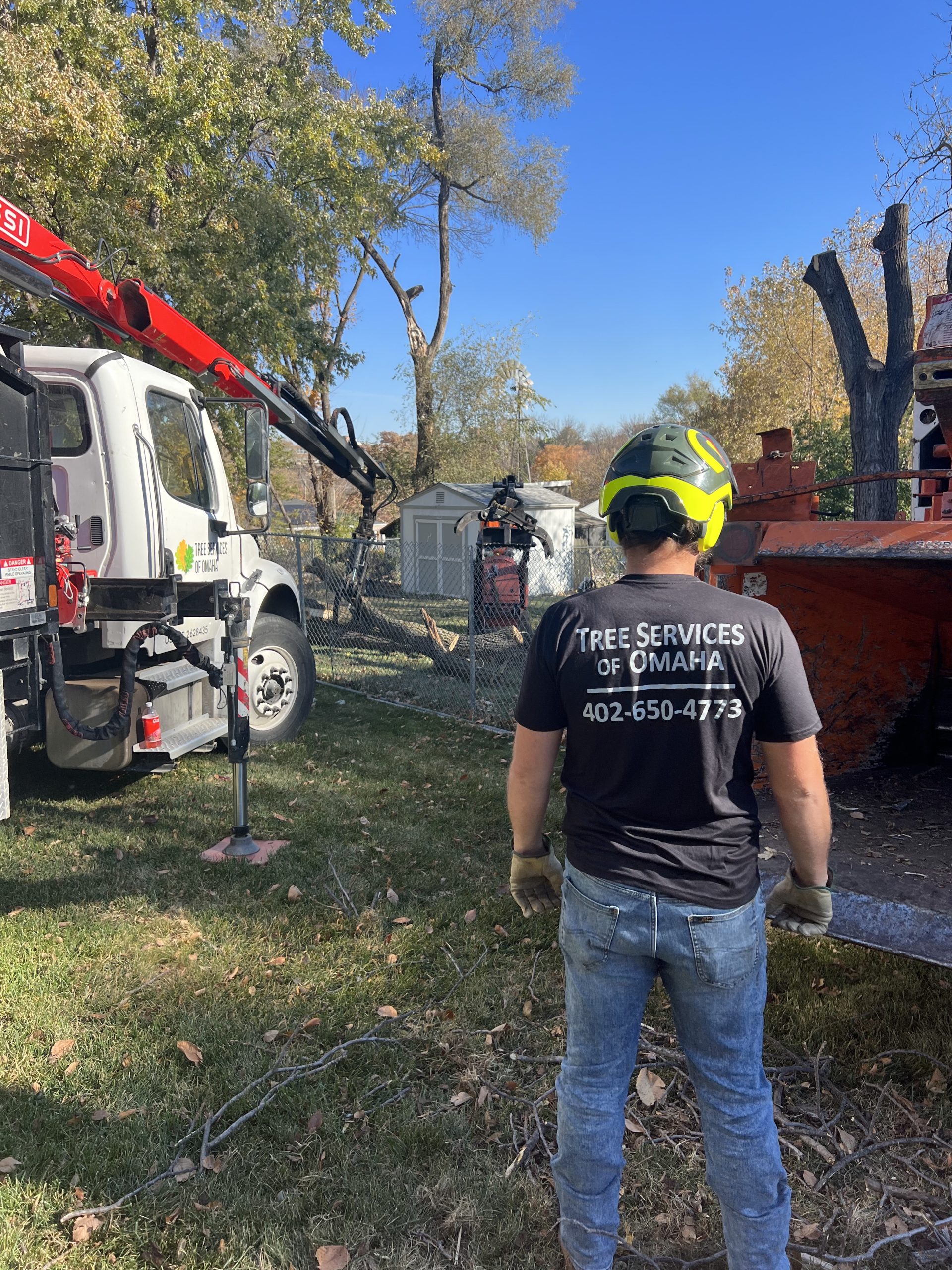 Tree Services Omaha Nebraska