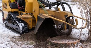 Stump Grinding in Winter: Is It Possible?