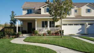 How Close Is Too Close? What Homeowners Get Wrong About Tree–to–House Distance Explained