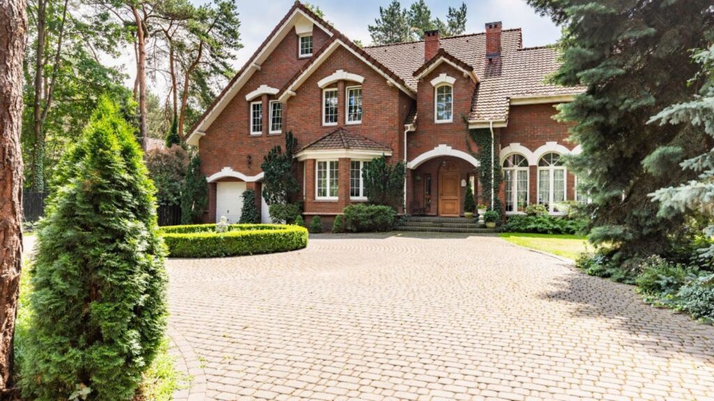 How Do Tree Roots Affect Your Foundation, Driveway, and Sidewalk Over Time?