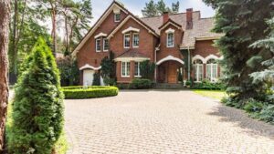 How Do Tree Roots Affect Your Foundation, Driveway, and Sidewalk Over Time?