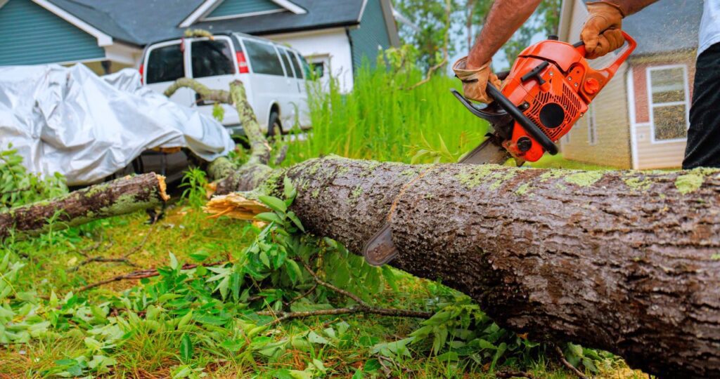 Why DIY Tree Removal Is So Risky for Omaha Homeowners When Storm Season Arrives
